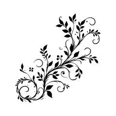 Obraz premium Elegant Black Floral Swirl Design.