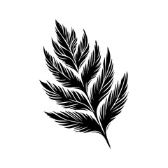 Black Silhouette of a Fern Frond 2.