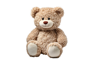 Obraz premium A teddy bear is sitting on a white background