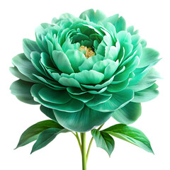Beautiful emerald peony harmony PNG isolated on white background