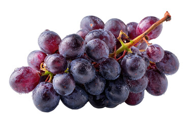 Close-up of a bunch of dark purple grapes, glistening with water droplets