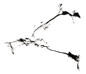 One thick crack Y shape on the wall with transparent background macro