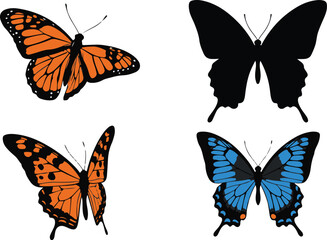 Monarch Butterfly Blue Butterfly and Two Black Butterfly Silhouettes on White insect flying