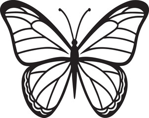 Detailed black and white butterfly with symmetrical wings insect lepidoptera