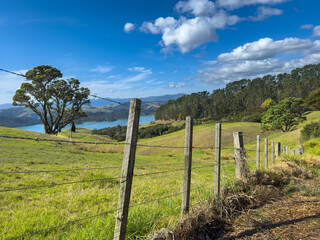 Naklejka na ściany i meble Coromandel Peninsula, New Zealand. Typical NZ Number 8 Wire fence above Manaia Harbour.