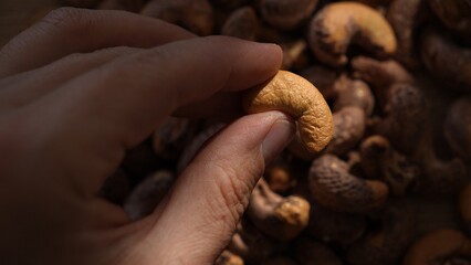 Person picking raw cashew nut from pile in sunlight