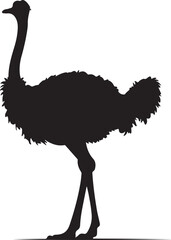 emu bird silhouette vector,Ostrich vector illustration
