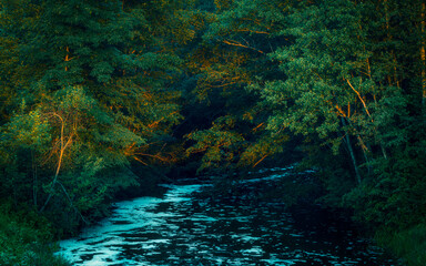 morning next to the river