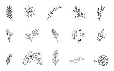 A lovely collection of handdrawn flowers and leaves set against a soft beige background, creating a delightful artistic composition