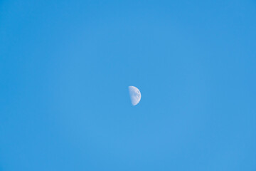 夏の夕方の青空に白い半月が浮かぶ03