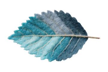 Close-up of a textured leaf, teal and light blue hues