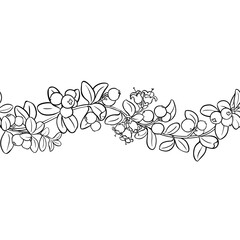 Cranberry Branch with Flowers, Berries and Leaves Outline Horizontal Seamless Pattern. Organic natural nutritional healthy food ingredient, vegetarian diet product. Vector isolated for design or decor