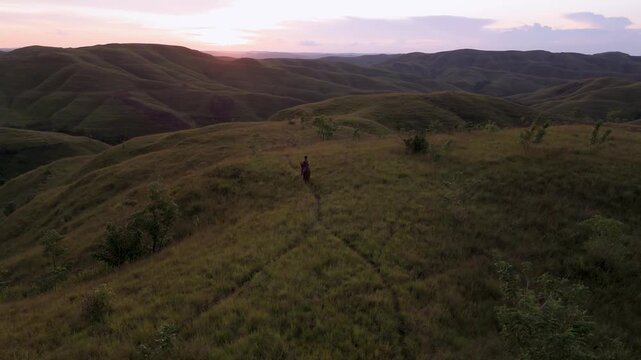 Aerial view of the green-gold hills under a soft violet sky, with a horse rider. Bukit Wairinding, Sumba, Indonesia