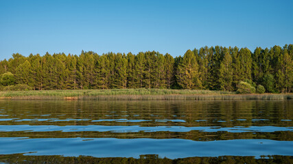 Picturesque landscape with river and forest at first sunbeams of sunset.