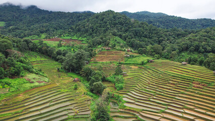 Aerial landscape view of rice terrace and mountain views