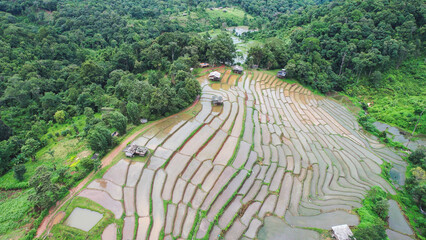 Aerial landscape view of rice terrace and mountain views