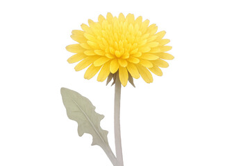 Naklejka premium Delicate dandelion illustration featuring bright yellow petals, slender green stem, resting against transparent background