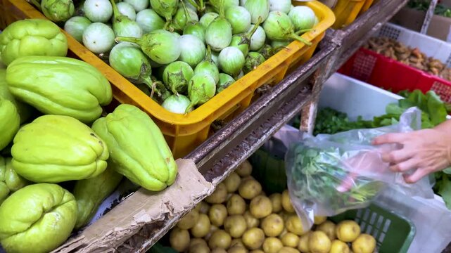 Selecting and Bagging Fresh Vegetables at Market Stall