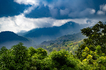Scenic view of Blue Mountain's rolling hills and misty mountain landscape.