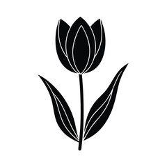 fresh tulip flowers isolated illustration vector