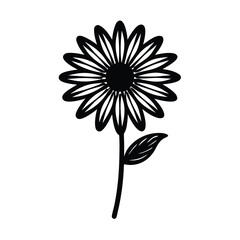 vector illustration of a romaine chamomile