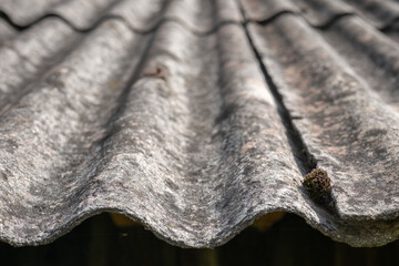 Old and very dangerous asbestos roof. Asbestos dust in the environment. Asbestos removal