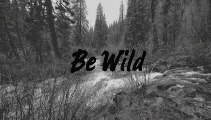 Black and white forest scene with the words "Be Wild" overlaid