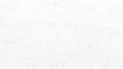 Subtle grain texture overlay Vector grunge  background