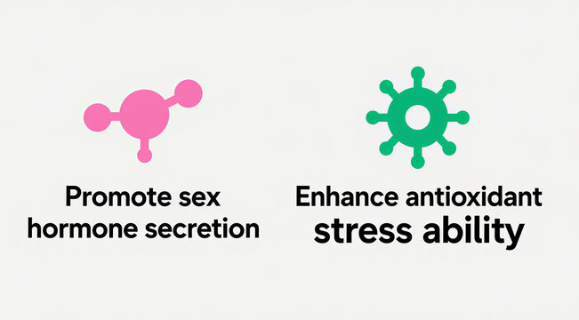 Pink sex hormone molecules and green antioxidant icons represent hormone secretion promotion and enhanced antioxidant stress resistance, used for health management and anti-aging scenarios.