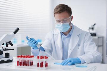 Medical analysis. Scientist working with sample in laboratory