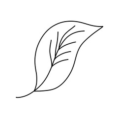 나뭇잎 단풍 가을 색칠공부 라인드로잉