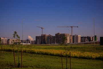Fototapeta premium Construction of buildings and high-rise cranes against the sky