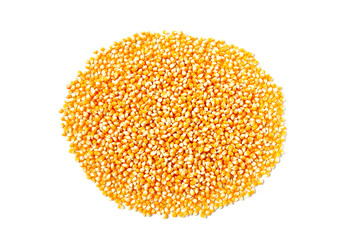 Yellow raw unpopped popcorn kernels