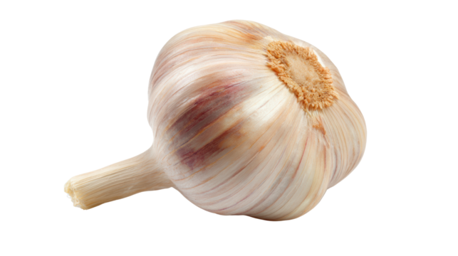 A bulb of garlic with a smooth, pale outer skin and a distinct shape, showcasing its natural textures and features.