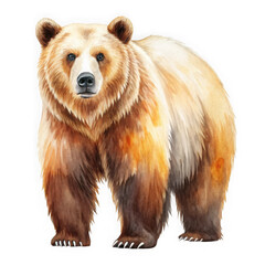Majestic grizzly bear standing proudly against a black background