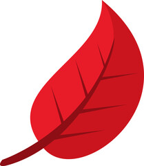 Flat cartoon leaf for fall and harvest concept