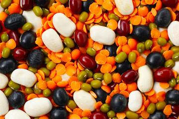 Colorful mixed beans and lentils, packed with plant-based protein and fiber