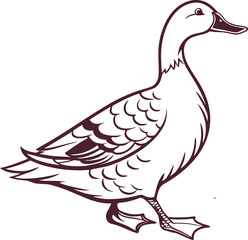 Duck Illustration with White Background. Realistic Wild Duck Design for Nature and Wildlife Concepts. High Detail Realistic Duck Artwork with Clear Background. Colorful Real Duck Drawing for Animal