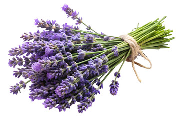 A bunch of fresh purple lavender flowers tied with twine, representing nature and relaxation isolated on transparent background