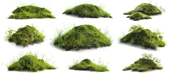 green grass isolated on white