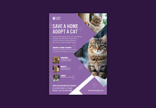 Adopt a Cat Flyer Template with Photos and Contact Info for Animal Shelter or Pet Rescue, Editable Design.