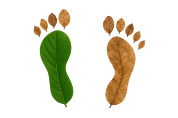 Contrasting Footprints Formed by Vibrant Green and Dry Brown Leaves Symbolizing Environmental Impact and Nature's Cycles