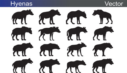 Hyenas Silhouette Vectror Illustration on White Background