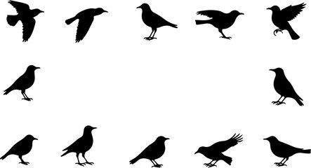 Obraz premium Flying Bird Silhouette Pack vector bundle