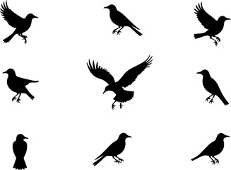 Obraz premium Bonsai Tree Silhouette Set