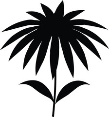 coneflower silhouette vector illustration