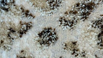 Abstract Shaggy Carpet Texture in Natural Palette — Decorative Background for Product Photography, Interior Styling and Graphic Content