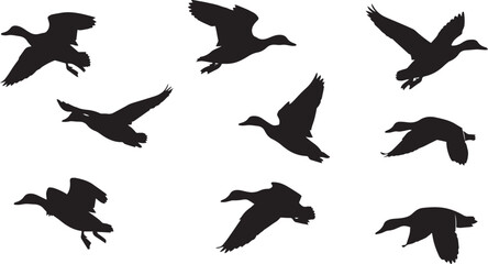 Flying Ducks Silhouette Set
