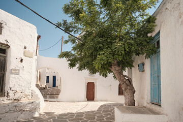 Stradina tipica di Paros: case bianche, porta colorata e albero all&rsquo;ombra.