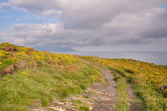 Loiba cliffs